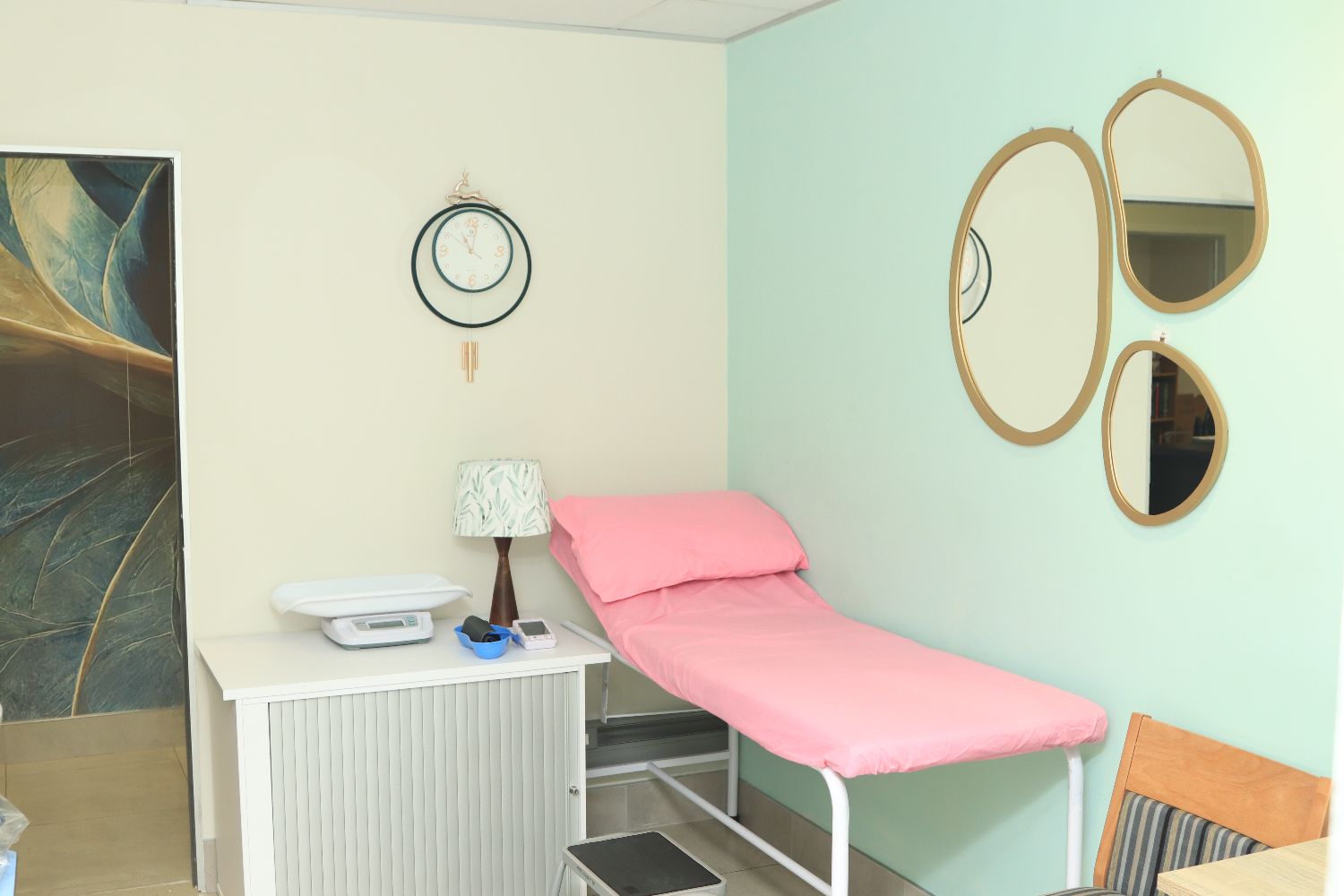 A Network One Health consulting room